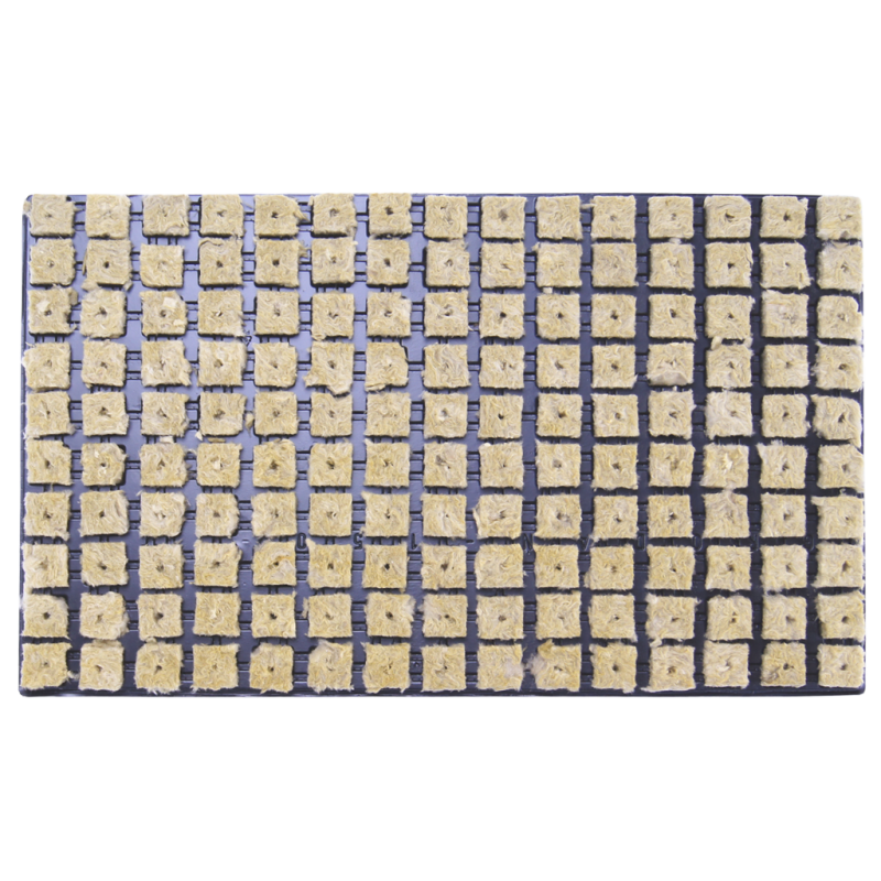 GRODAN germination tray 150 cubes, 25x25x40mm