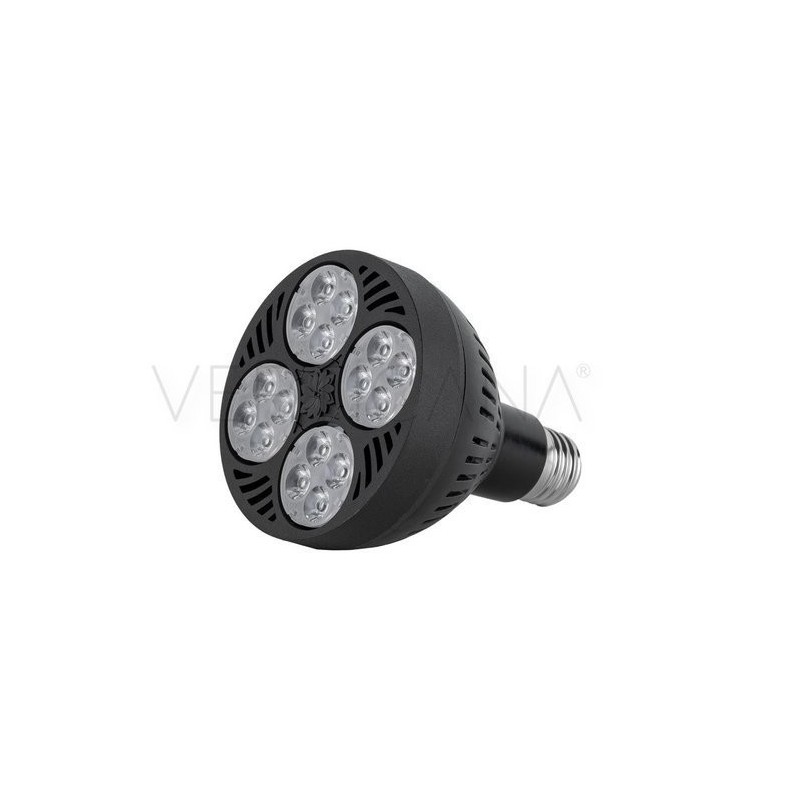 VERTICANA LED-Lampe 35W, 15° Objektiv