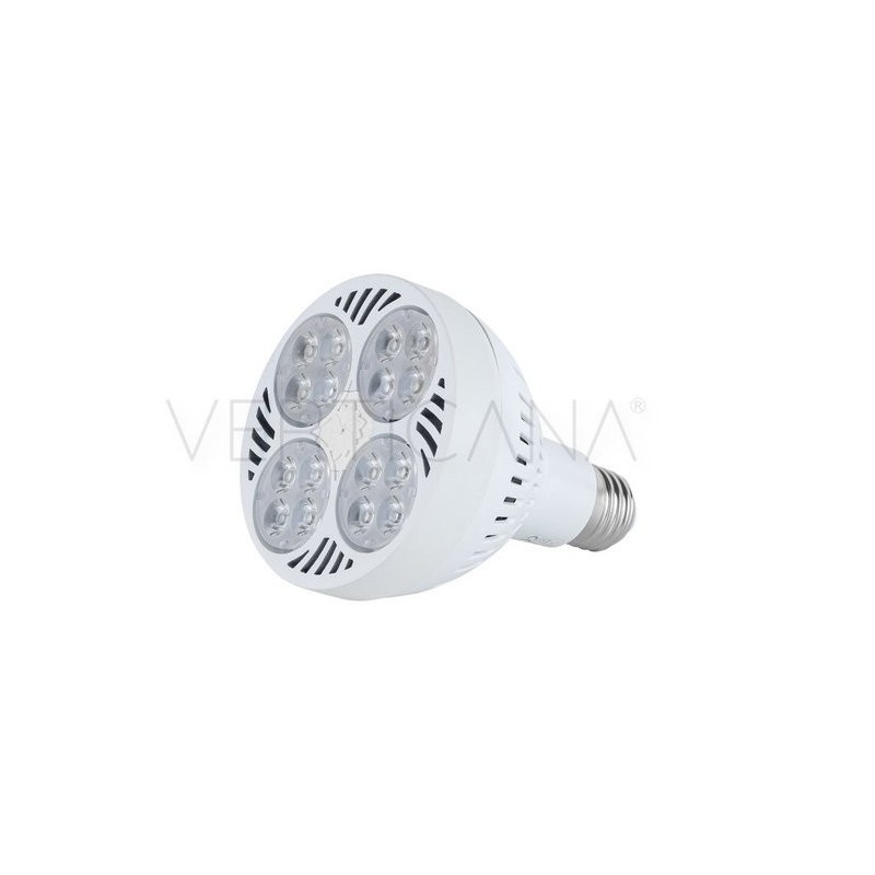 VERTICANA LED 35W bulb, white, 25° lens