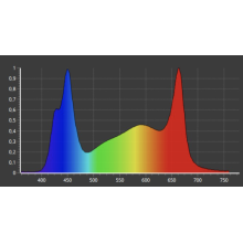 VERTICANA LED-Lampe 35W, schwarz, 80° Objektiv