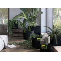 Herbgarden Dschungel Tasche Runde 10L Stoff Topf, 24x24x22cm