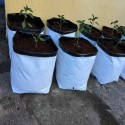 Film flower pots indoor 7gal / 30 L 5pcs.