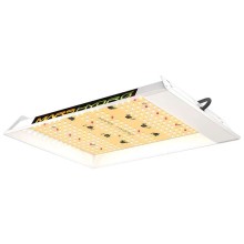 Reflector LED Mars Hydro TS600 100W Grow