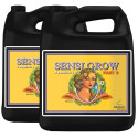 Advanced Nutrients Sensi Grow A&B 2*10L, growth fertilizer