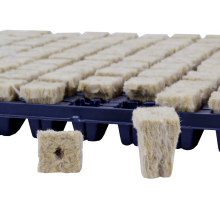 GRODAN germination tray 150 cubes, 25x25x40mm
