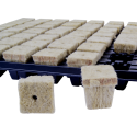 GRODAN 77pc. - germination tray