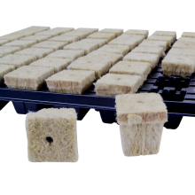 GRODAN 77pc. - germination tray