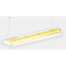 LED Spider Farmer SF300 33W Osram 60cm lamp, recommended for seedlings