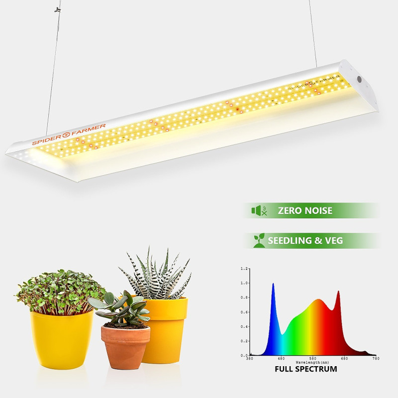 Lampa LED Spider Farmer SF300 33W Osram 60cm, rekomendowana do sadzonek