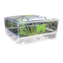 Garland Vitopod 60x60x28cm, height increasing cover for propagator