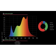 Grow The Jungle The Jackson LITE 100W Lampa LED Grow Dimmable SMD Samsung