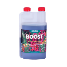 Canna Boost 1L Blühstimulator