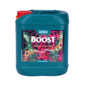 Canna Boost 5L flowering stimulator