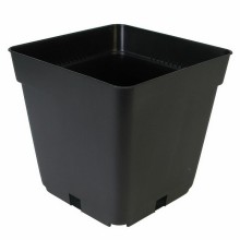 1.5L square production pot