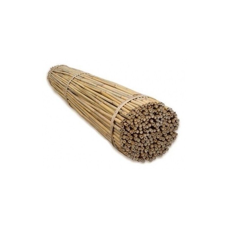 Bamboo pole 60cm