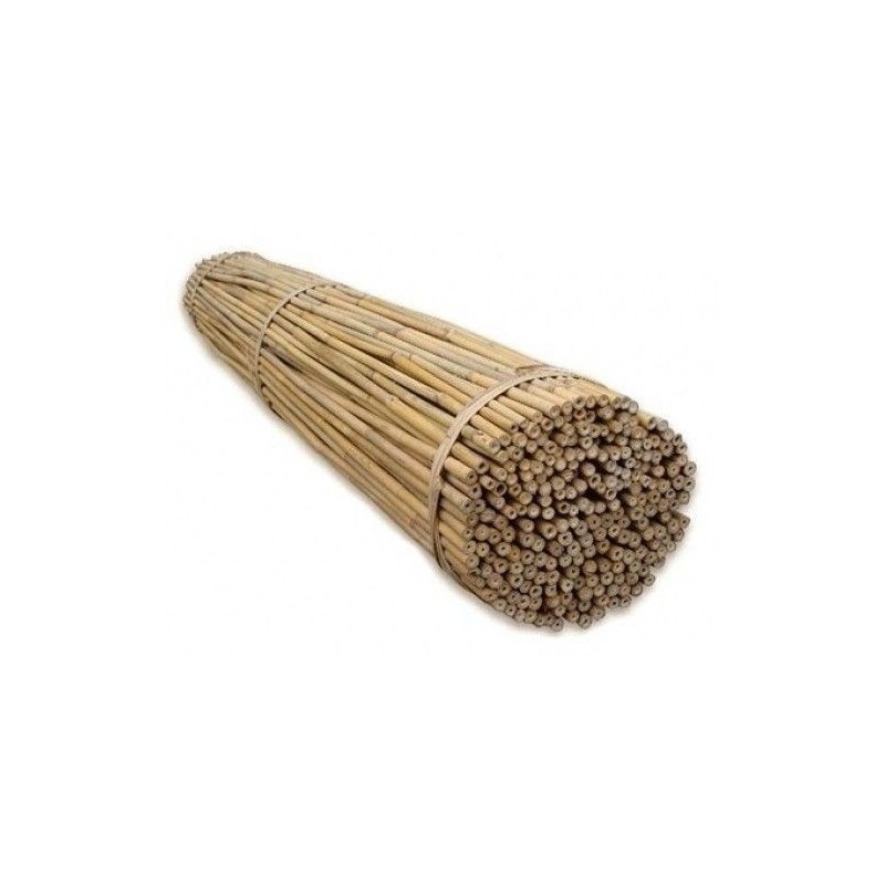 Tyczka bambusowa 105cm