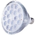 LED bulb 18W E27, bloom