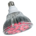 LED bulb 18W E27, bloom