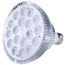 LED 18W E27 Leuchtmittel, Wuchs