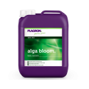 Plagron Alga Bloom 5L, an organic fertilizer for flowering