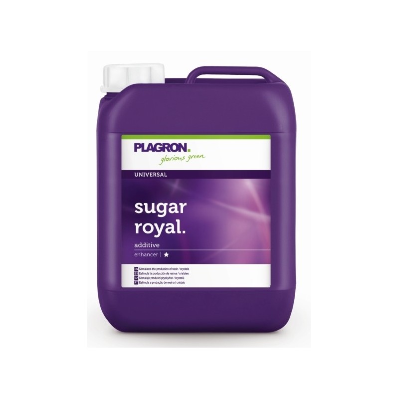 Plagron Sugar Royal 5L, organiczny stymulator