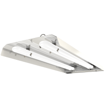 TNEON 55W luminaire