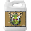 Advanced Nutrients BIG BUD COCO 5L