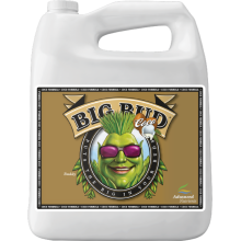 Advanced Nutrients BIG BUD COCO 5L