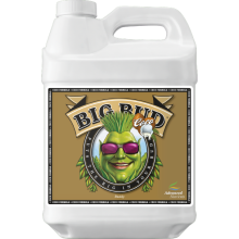 Advanced Nutrients BIG BUD COCO