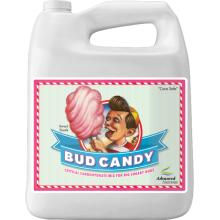 Erweiterte Nährstoffe Bud Candy 5L