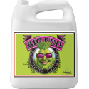 Advanced Nutrients Big Bud 5L