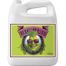 Advanced Nutrients Big Bud 5L