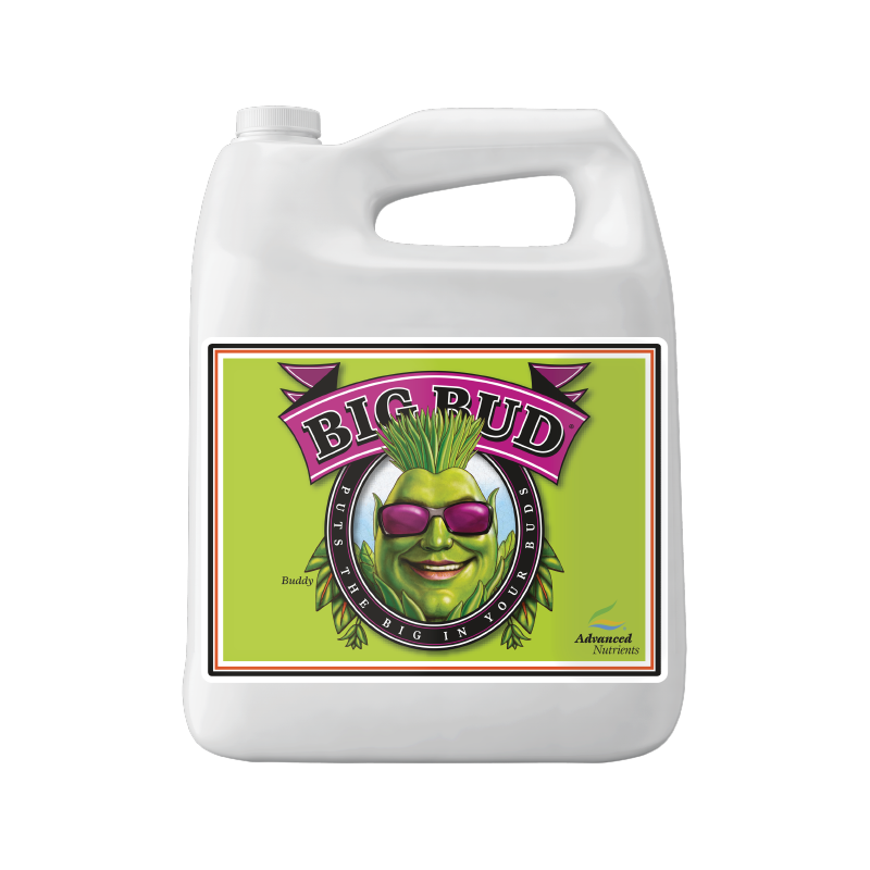 Advanced Nutrients Big Bud 5L