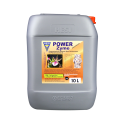 Hesi Power Zyme 10L