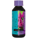 Atami Blossom Builder 250ml