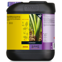 B'cuzz One Component Nutrition 5 L