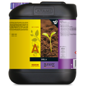 B’cuzz Soil Nutrition A&B 2x5L