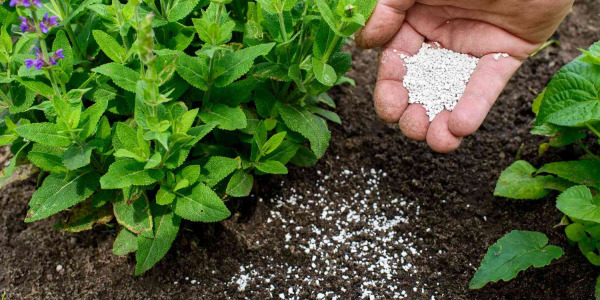 Nawozy mineralne a organiczne? Różnice, wady, zalety.